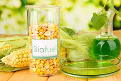 Scatsta biofuel availability