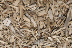 biomass boilers Scatsta